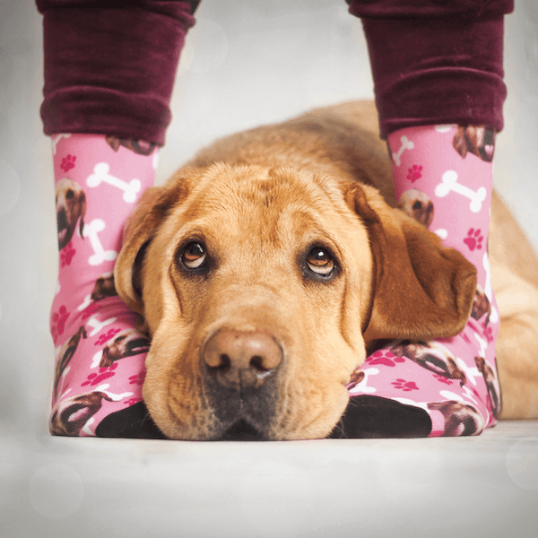 GesichtAufSocken-Feedback
