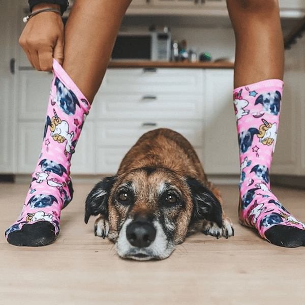 GesichtAufSocken-Feedback