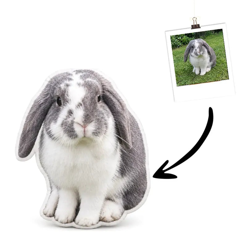 Kaninchenkissen Echtes Foto