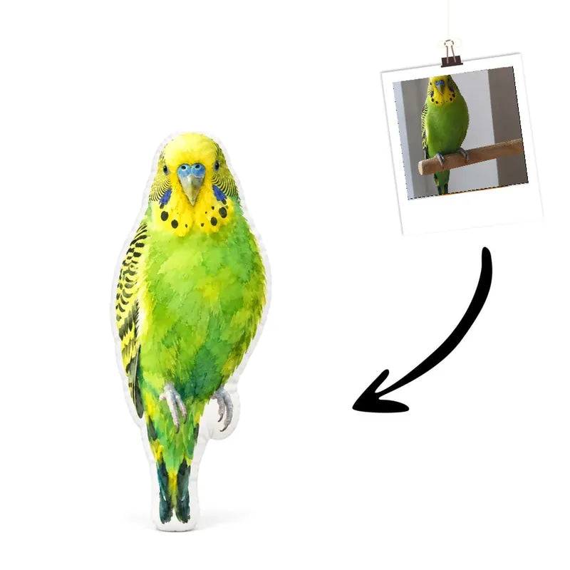 Vogelkissen Aquarell