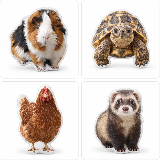 Kissen für alle Tiere Echtes Foto