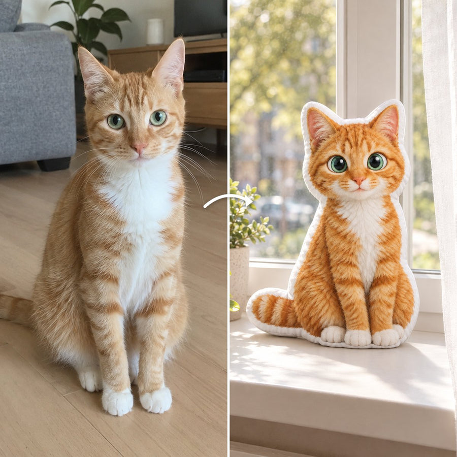 Katze
