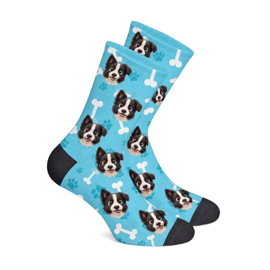 Blaue Socken mit dem Border Collie als Cartoon