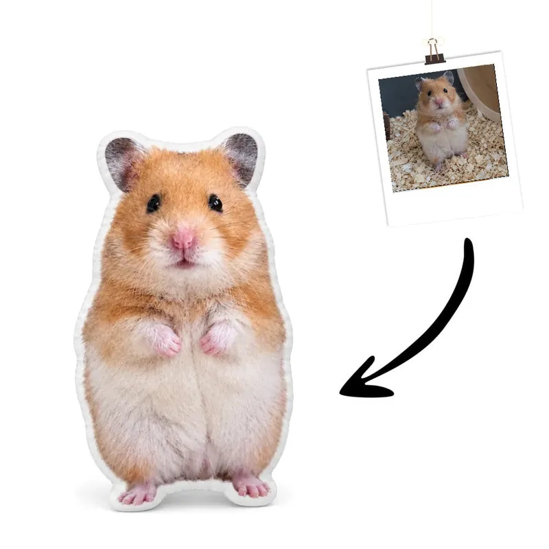 Hamsterkissen Echtes Foto