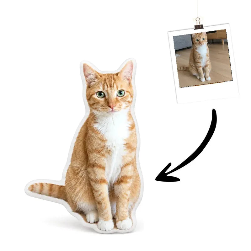 Katzenkissen Echtes Foto