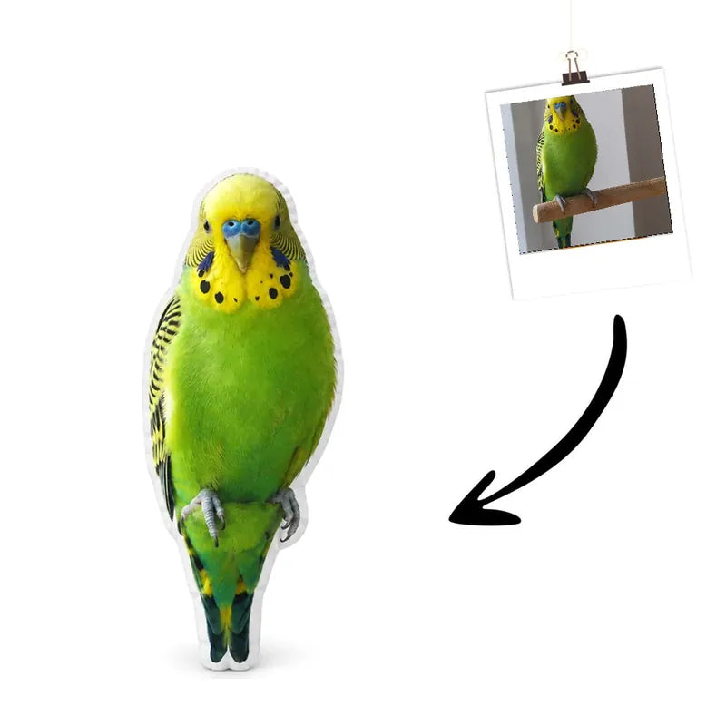 Vogelkissen Echtes Foto